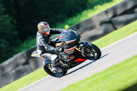 PJ-Motorsport-Photography-2020;anglesey;brands-hatch;cadwell-park;croft;donington-park;enduro-digital-images;event-digital-images;eventdigitalimages;mallory;no-limits;oulton-park;peter-wileman-photography;racing-digital-images;silverstone;snetterton;trackday-digital-images;trackday-photos;vmcc-banbury-run;welsh-2-day-enduro